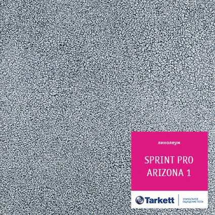 Линолеум TARKETT Sprint PRO 2,5 м Аризона 1